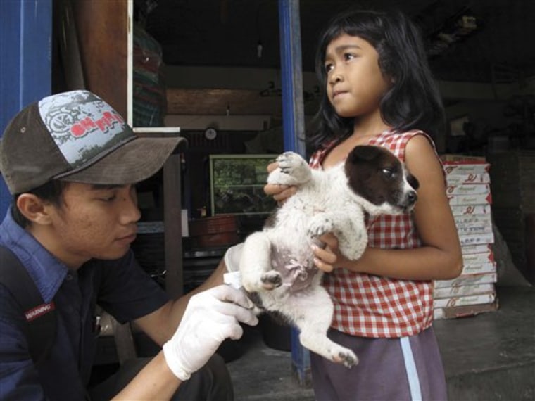 A vet at the nonprofit Bali Animal Welfare Association injects a puppy held by Kadek Wirayani, 8, with a rabies vaccine.